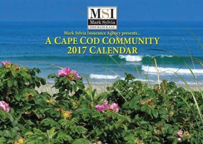MSI Calendar 2017