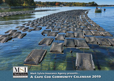 MSI Cape Cod Community Calendar 2019